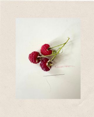 Poslední maliny. Listy a pupeny malin se v tradiční lidové medicíně používají na ženské problémy. Zastavte se u nás v...